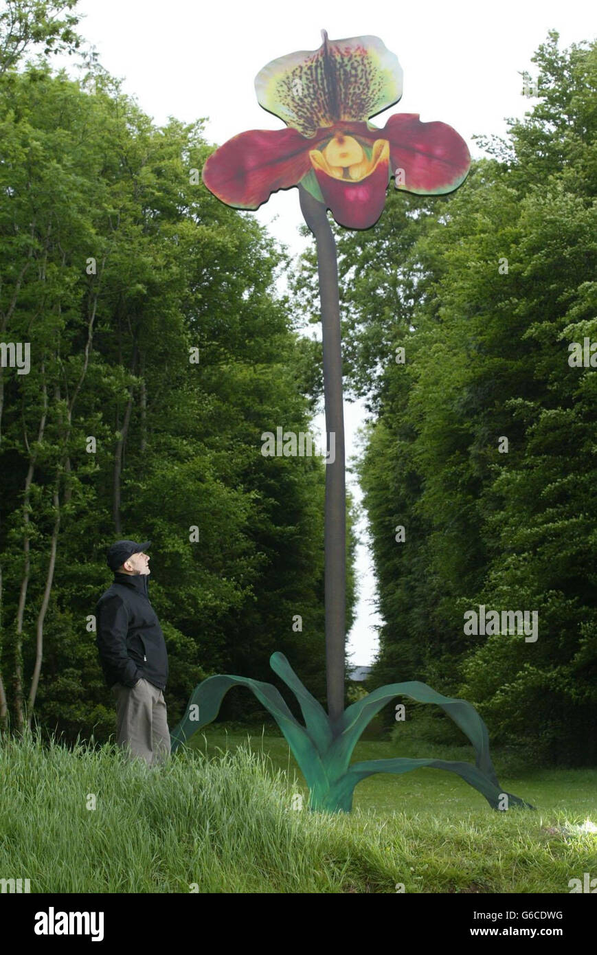 Marc Quinn stands under his latest artwork The Overwhelming World of Desire (Paphiopedilum Winston Churchill Hybrid) at Goodwood Park. The 12 metre tall steel orchid will be officially unveiled on Wednesday. Stock Photo