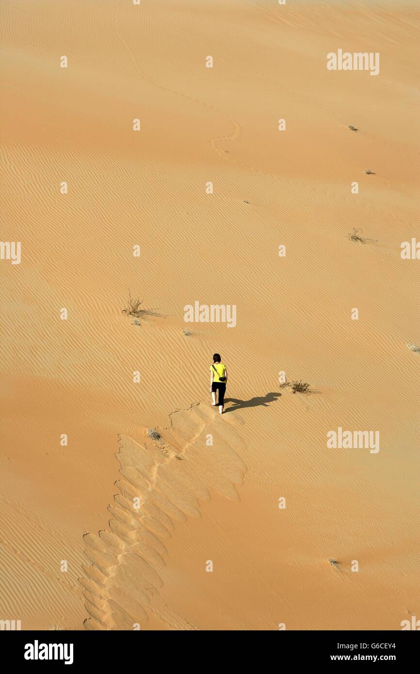 The Dubai Desert, Dubai, United Arab Emirates, Middle East Stock Photo