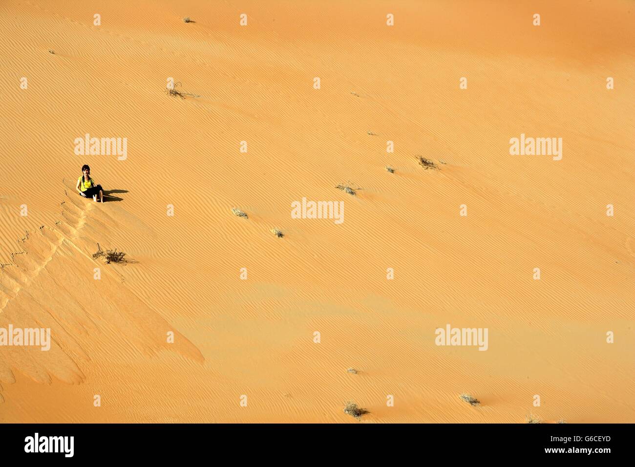 The Dubai Desert, Dubai, United Arab Emirates, Middle East Stock Photo