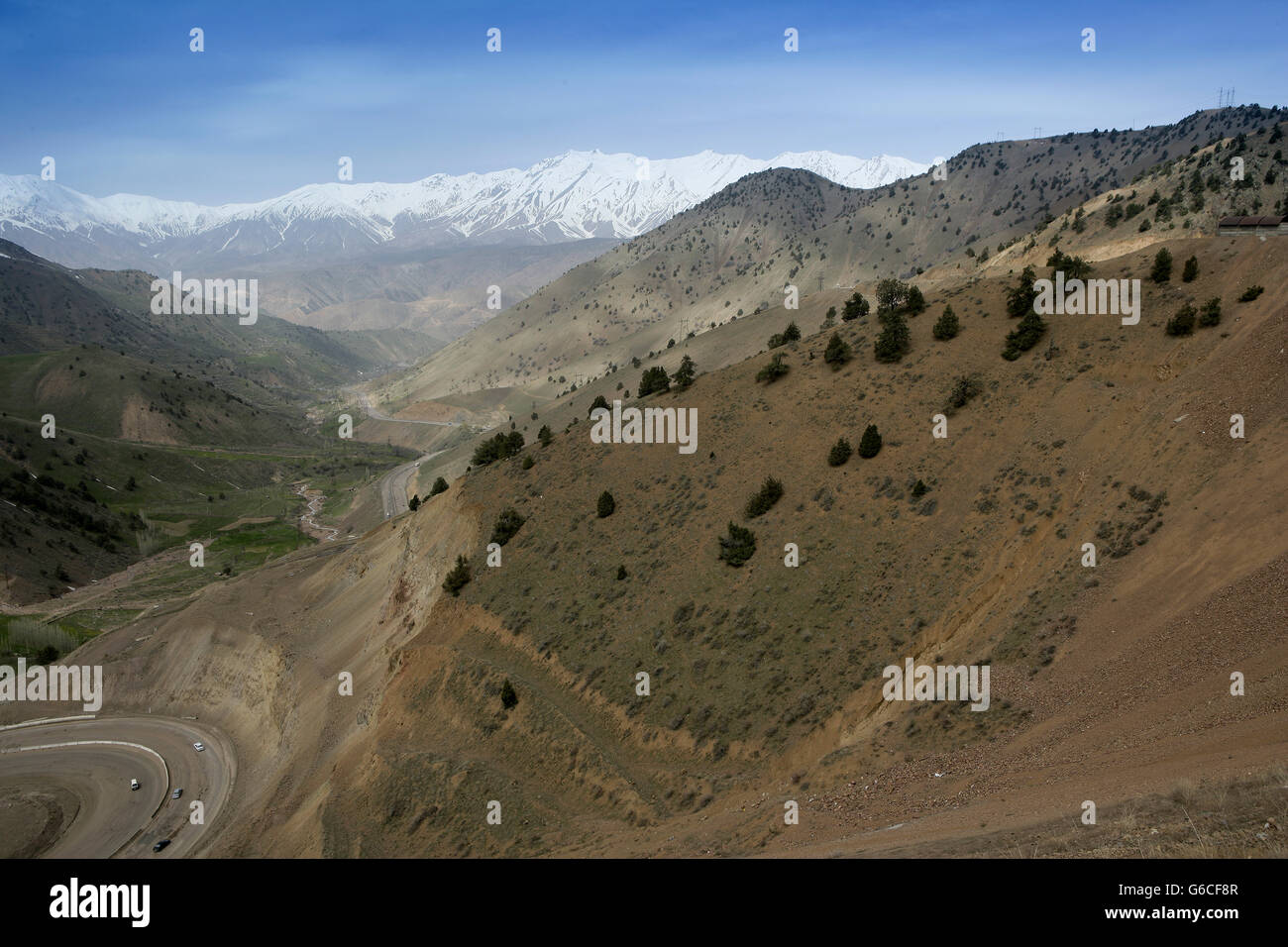 Mountain forest in the Chatkal biosphere reserve, Uzbekistan, Tashkent, Tien Shan Stock Photo