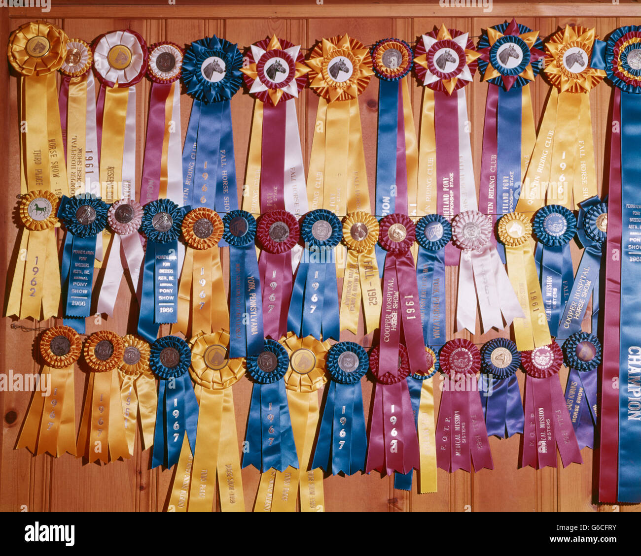 1960s WALL FULL OF PRIZE & BLUE RIBBONS FROM EQUESTRIAN EVENTS Stock ...