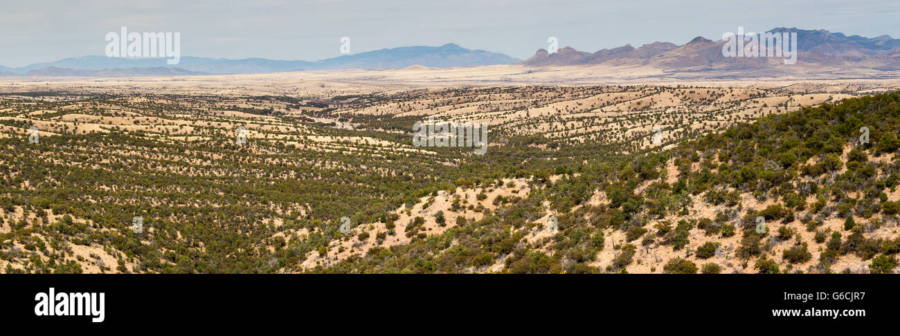 A vast expanse of high desert grasslands opening up below the sky islands of the Rincon and Whetstone Mountains. Coronado Nation Stock Photo