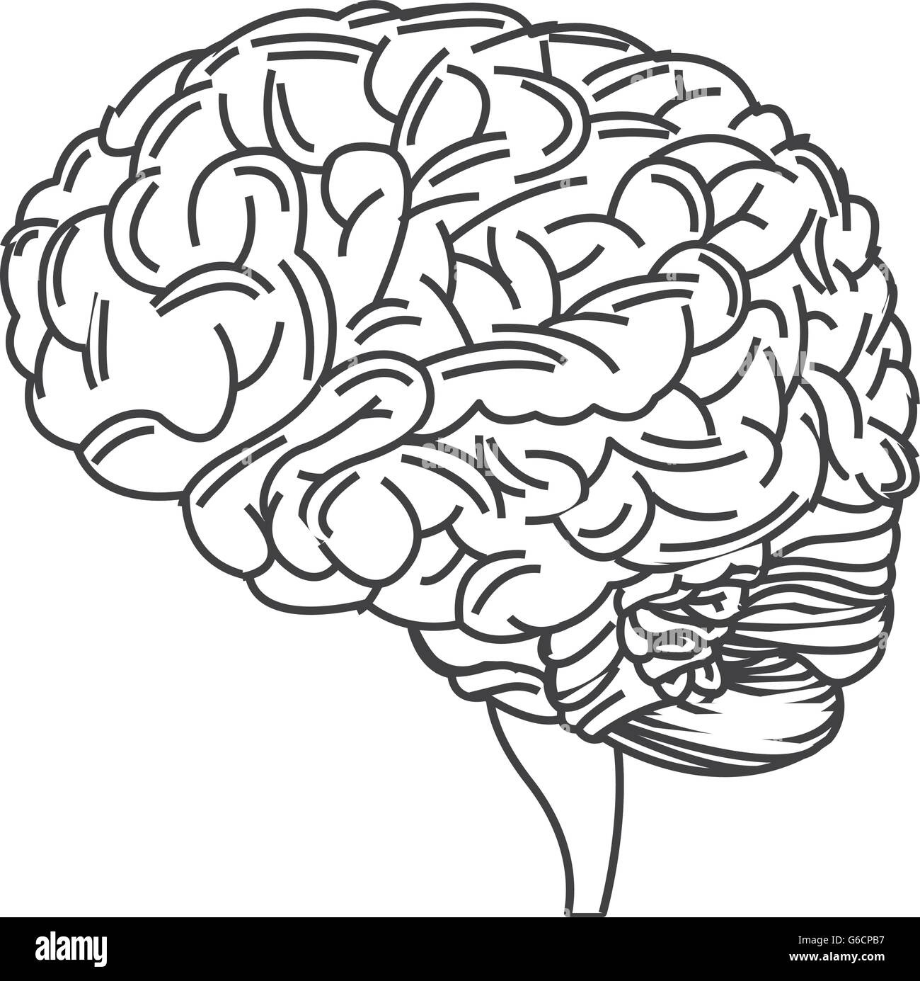 human brain icon Stock Vector Image & Art - Alamy