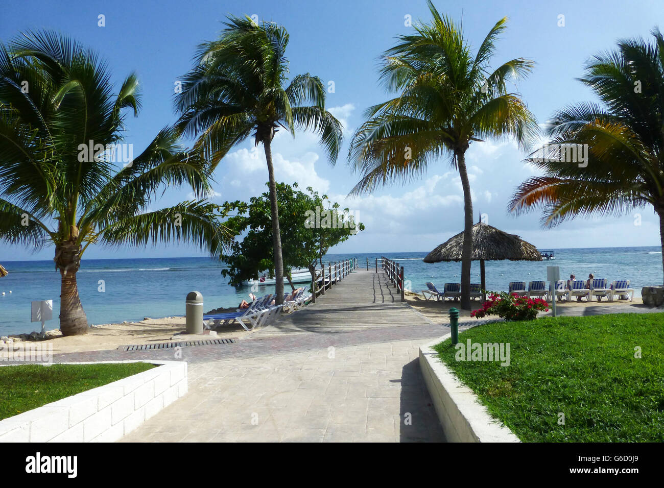 Jerking At The Beach Jerk hut on the beach with coconut trees blowing in the wind, golden sandy beach in the and blue sea in the background Stock Photo - Alamy