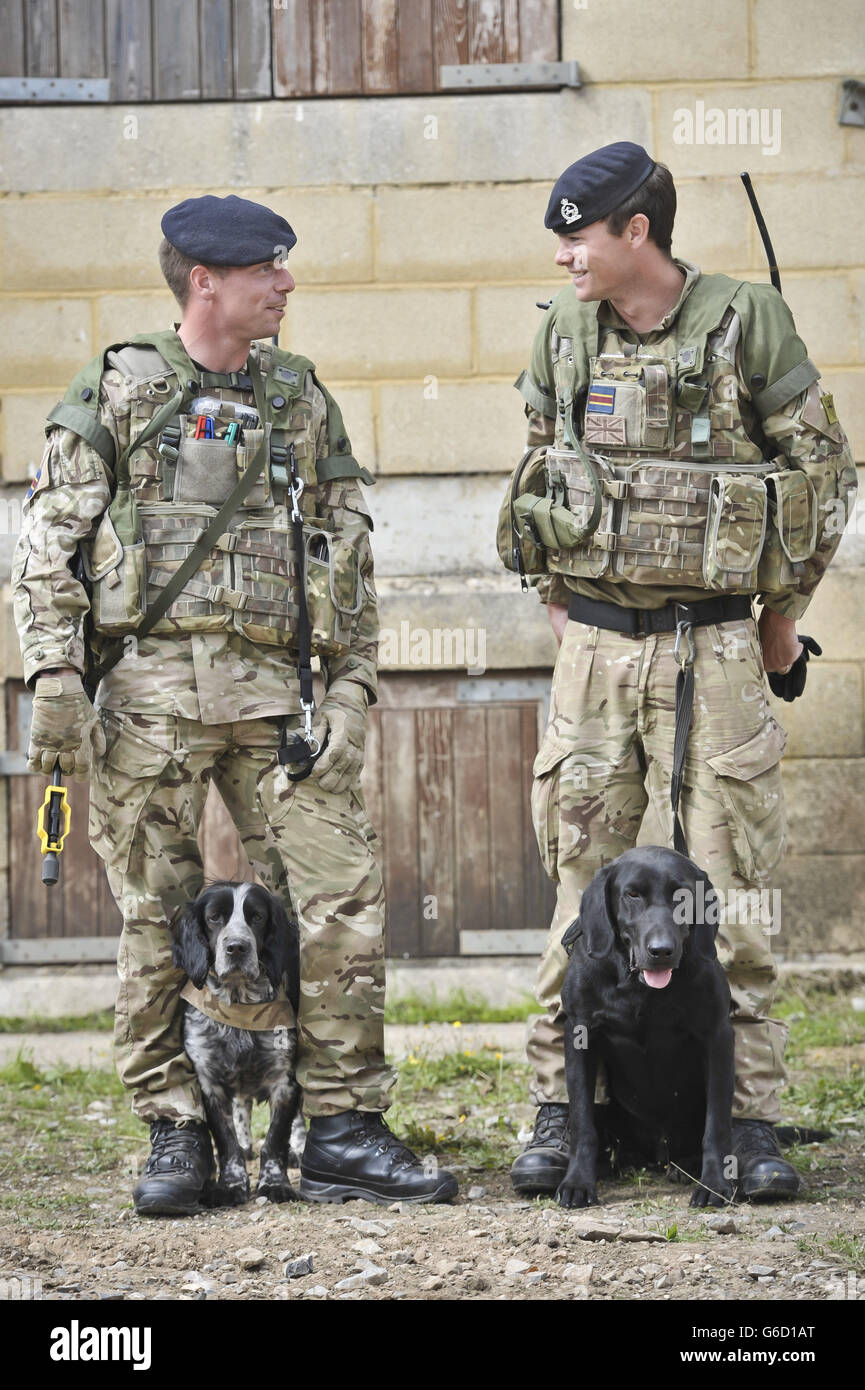 Military dogs and handlers hi-res stock photography and images - Alamy