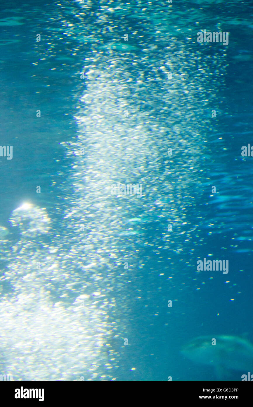 blurred bubbles under water for backgrounds Stock Photo