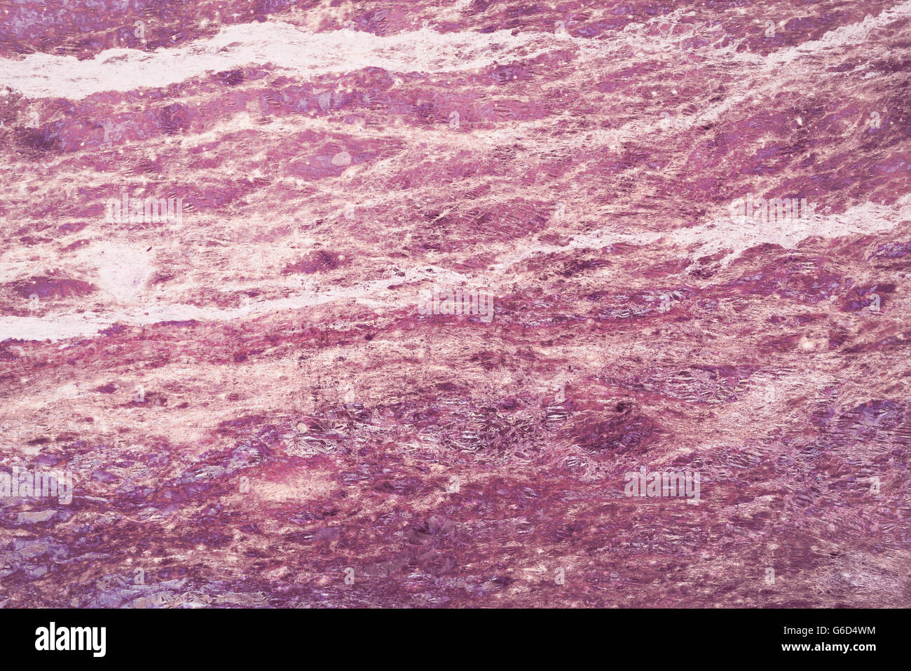 Abstract grunge texture background in purple color, vintage style stone surface backdrop. Stock Photo