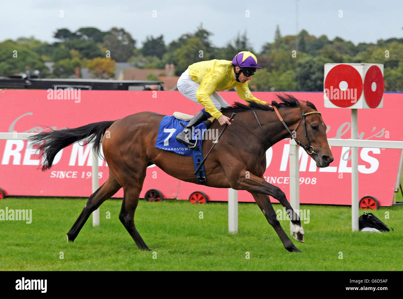 Horse Racing - Red Mills Irish Champions Stakes Day - Leopardstown Racecourse Stock Photo