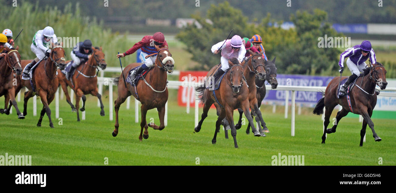 Horse Racing - Red Mills Irish Champions Stakes Day - Leopardstown Racecourse Stock Photo