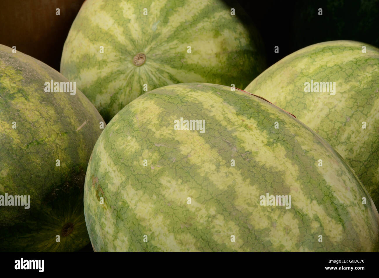 Close up of watermelons in produce box Stock Photo