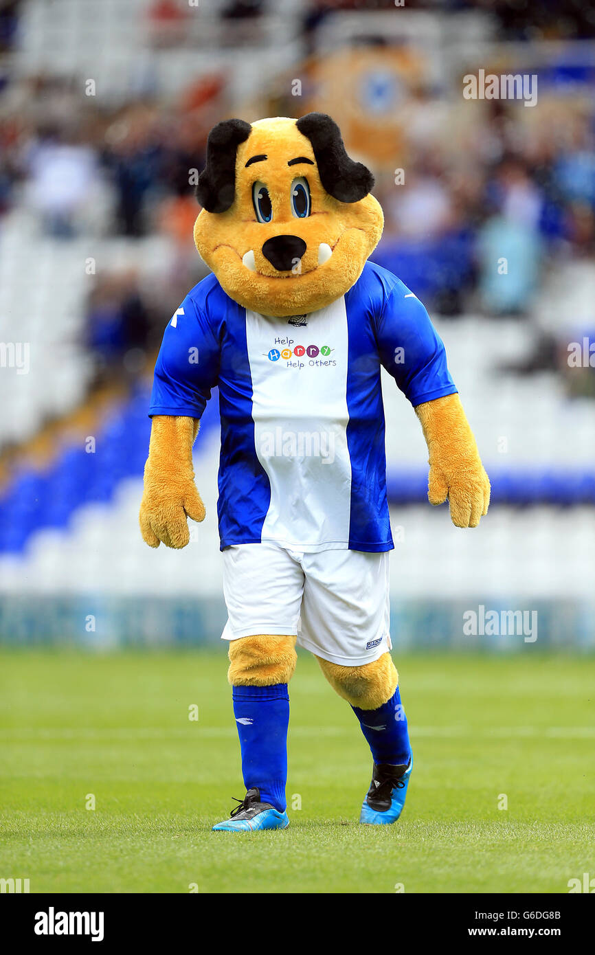 Soccer - Sky Bet Football League Championship - Birmingham City v Ipswich Town - St Andrew's. Birmingham City mascot Beau Brummie Stock Photo