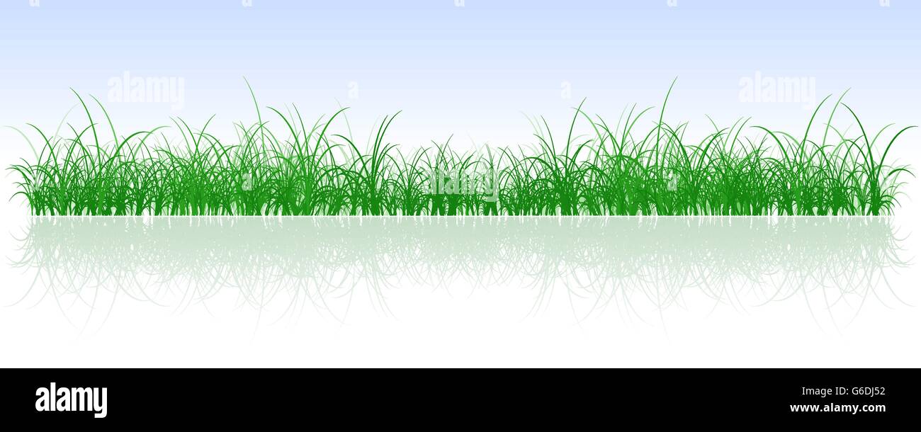 Vector illustration of single isolated grass icon Stock Vector Image ...