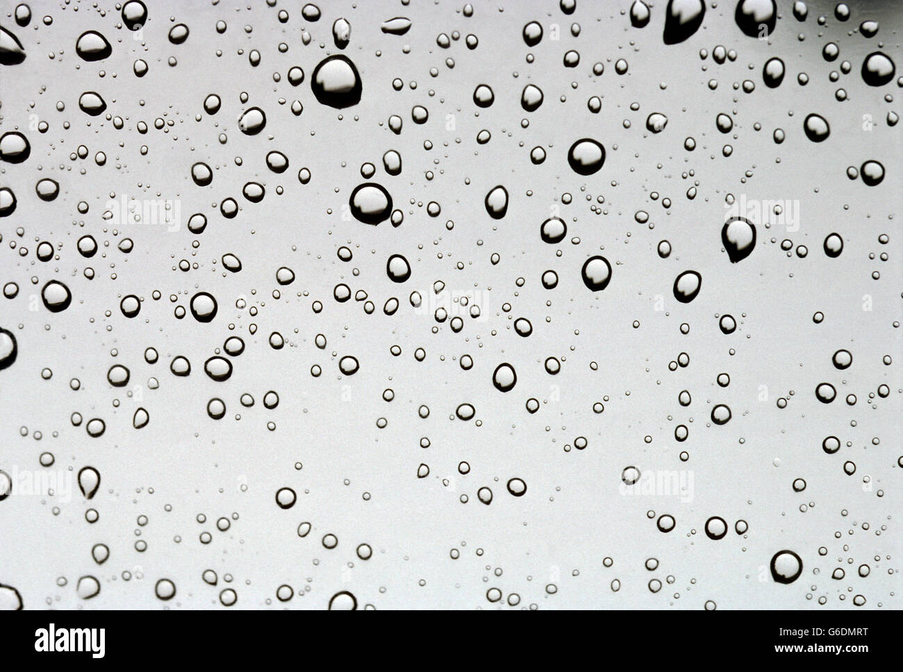 Water droplets beaded up on a glass window in the summer Stock Photo