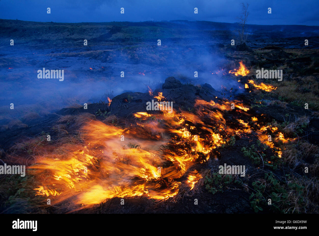 USA, Hawaii, Volcanoes National Park, Wildfires burn as molten lava