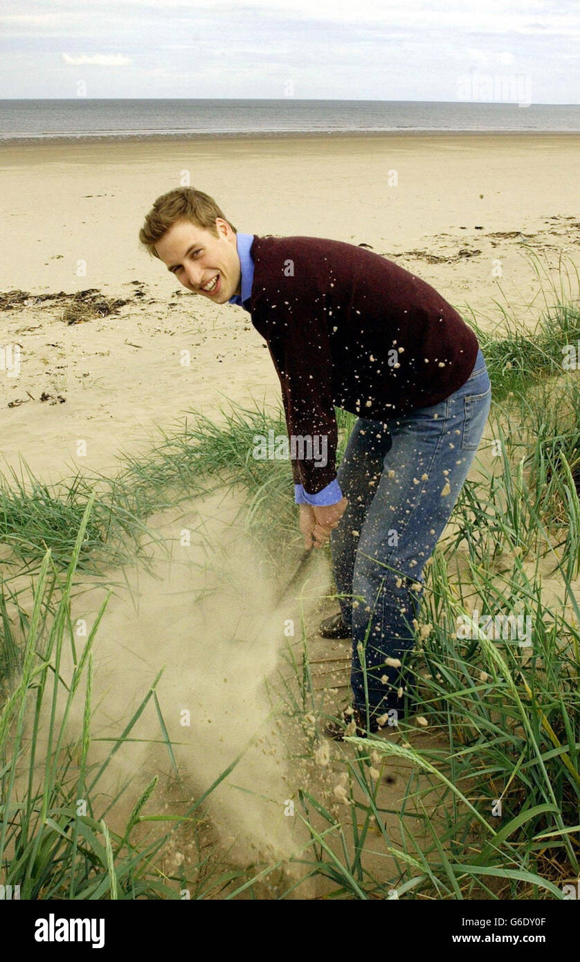 Four year history art degree hires stock photography and images Alamy