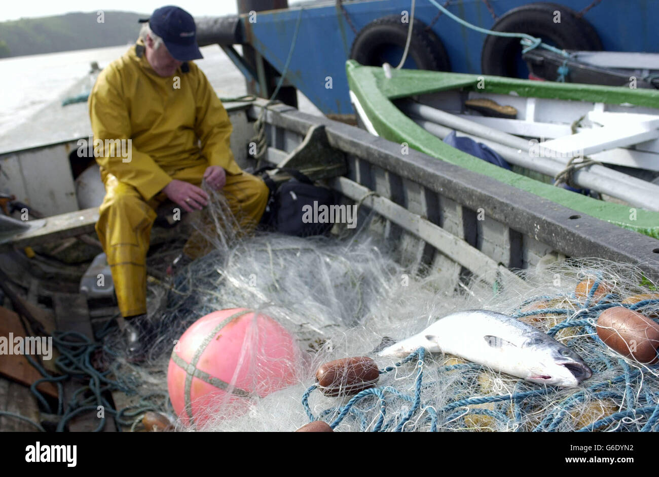 Salmon fishing season - Day 1 Stock Photo