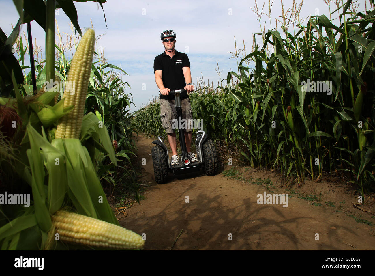 Glenn Bevons on his segway in a corn maze at Farmer Copley's. Segway tours are being run for a limited time at the 10 acre field in Purston near Featherstone. Stock Photo