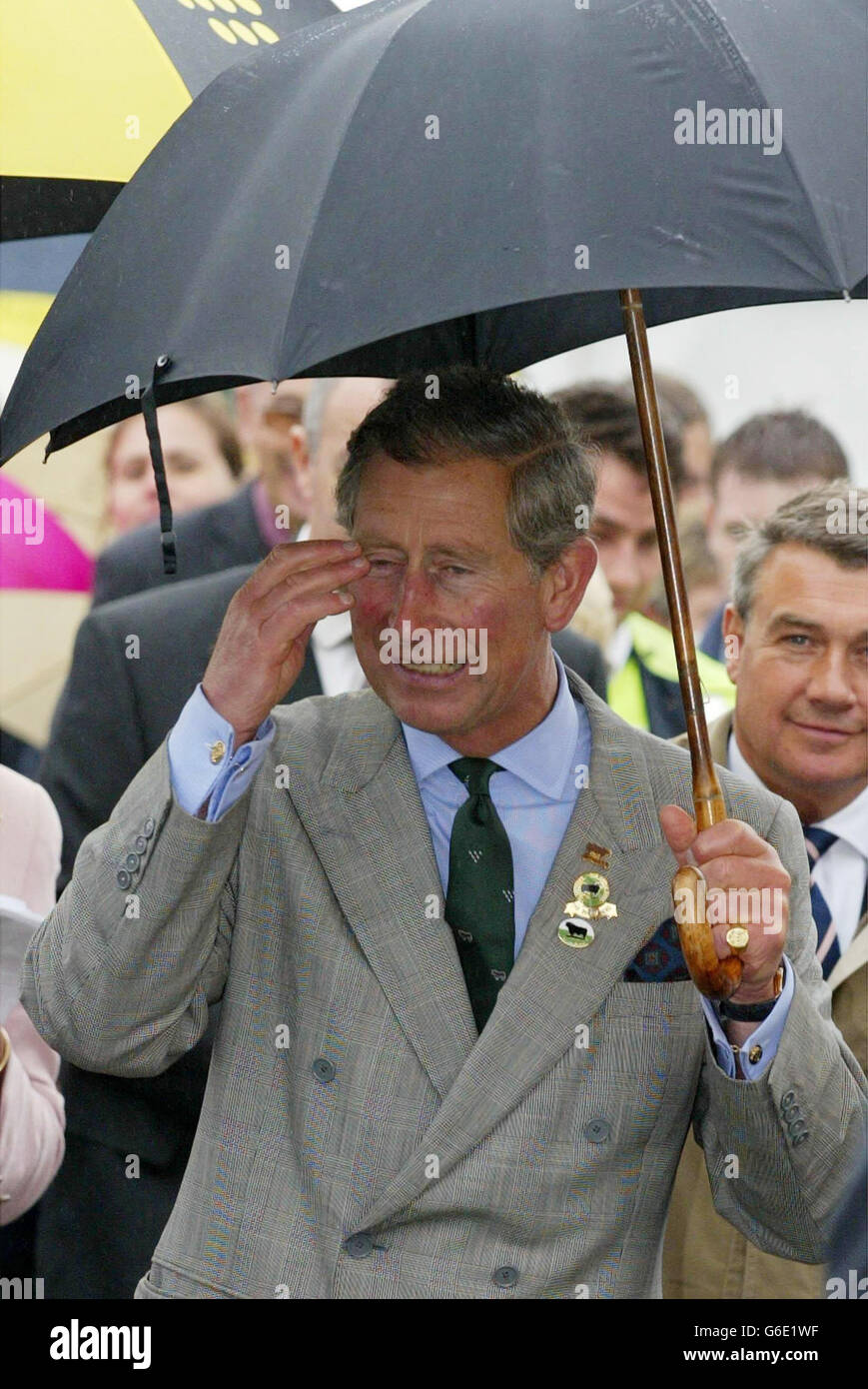 ‘south of england show’ hi-res stock photography and images - Alamy