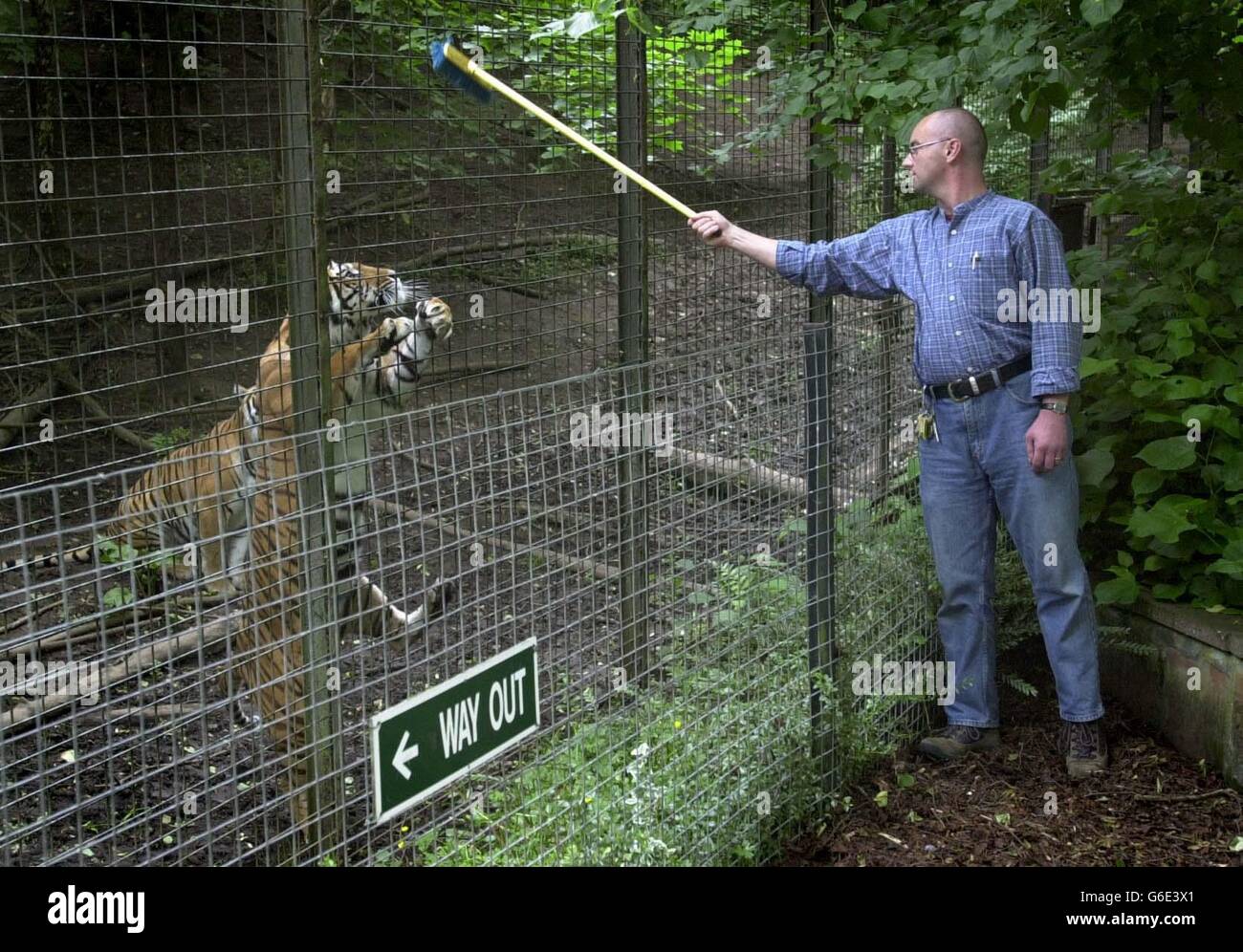 Calderpark zoo hires stock photography and images Alamy