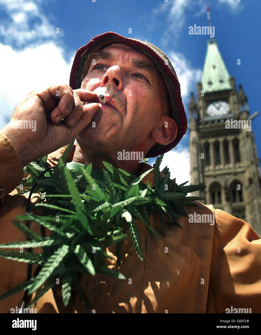 Marijuana Protest in Ottawa Stock Photo Alamy
