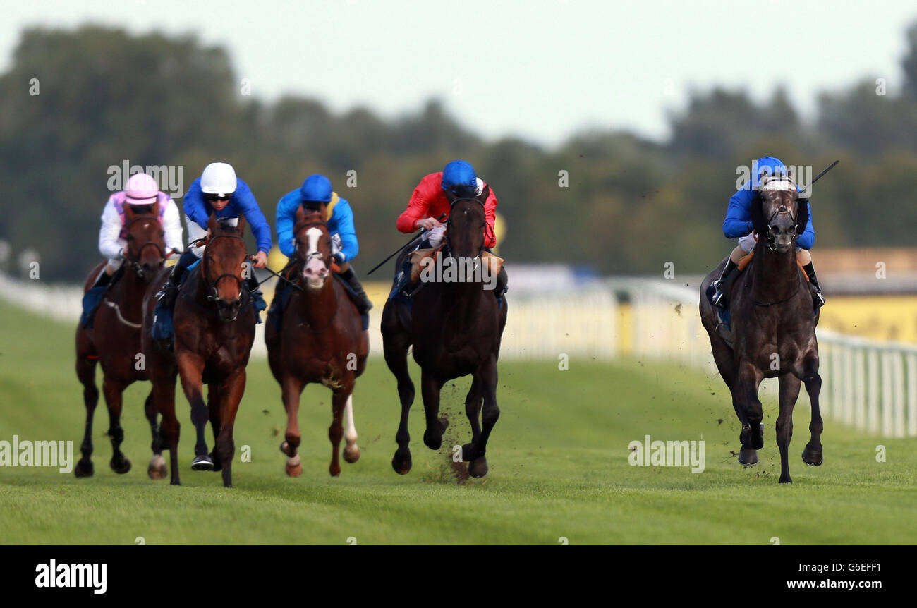 Horse racing dubai duty free weekend newbury racecourse hi-res stock ...