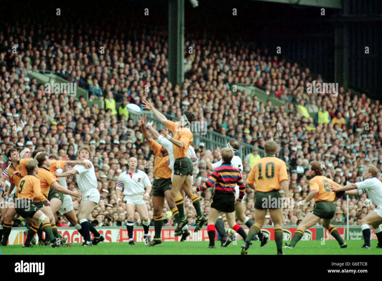 Rugby World Cup final Stock Photo Alamy
