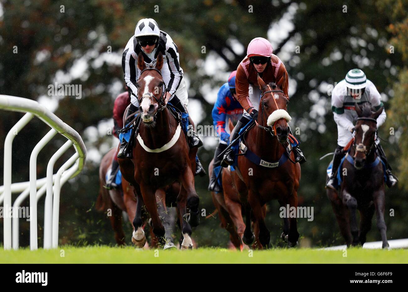 Horse Racing - Ludlow Racecourse Stock Photo - Alamy