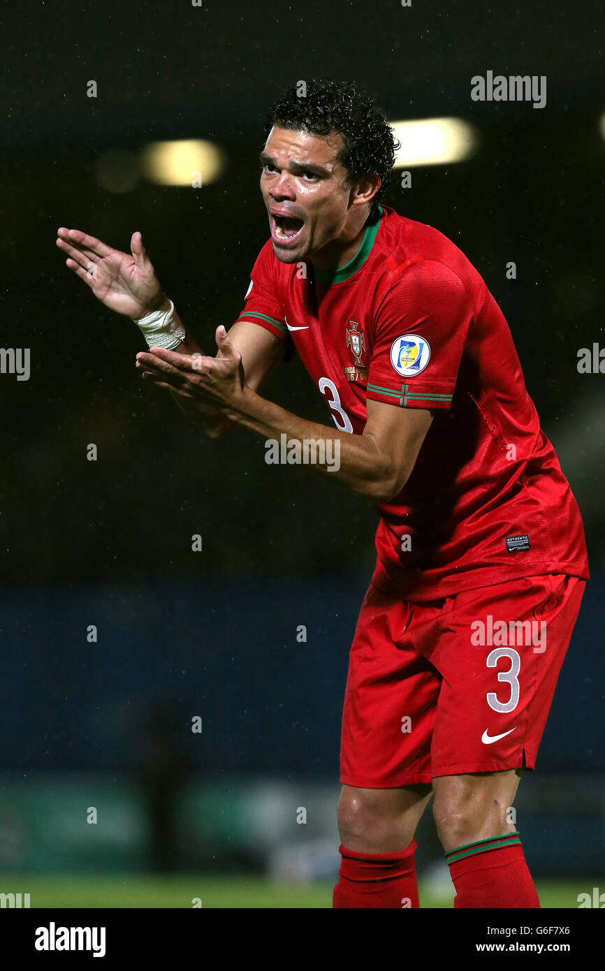 Soccer - 2014 World Cup Qualifier - Europe - Group F - Northern Ireland v Portugal - Windsor Park. Pepe, Portugal Stock Photo