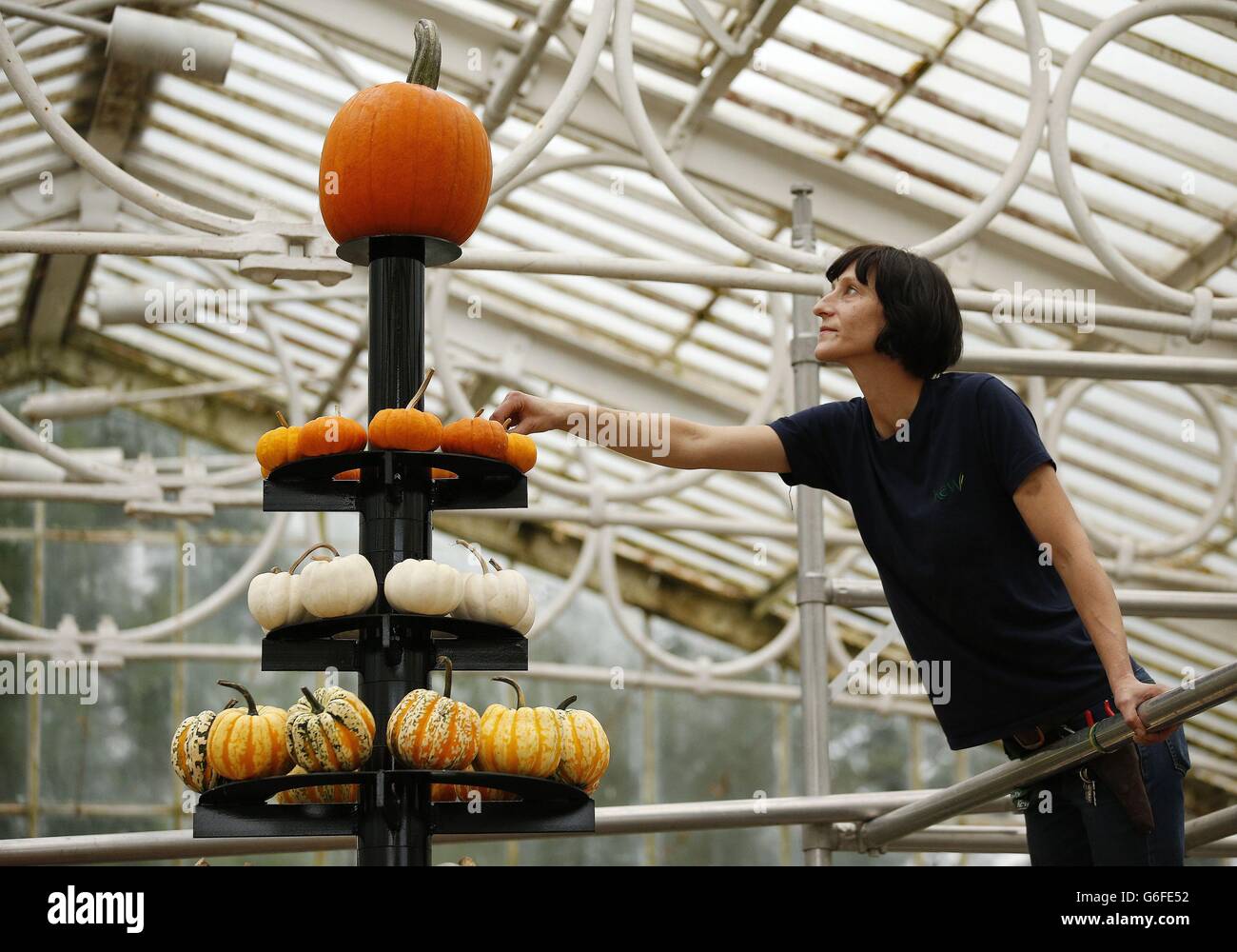 Display horticulturist Silke Roch constructs a tower of pumpkins at the Waterlily House during a photocall to launch Kew Gardens' 'Incredibles' season. Stock Photo