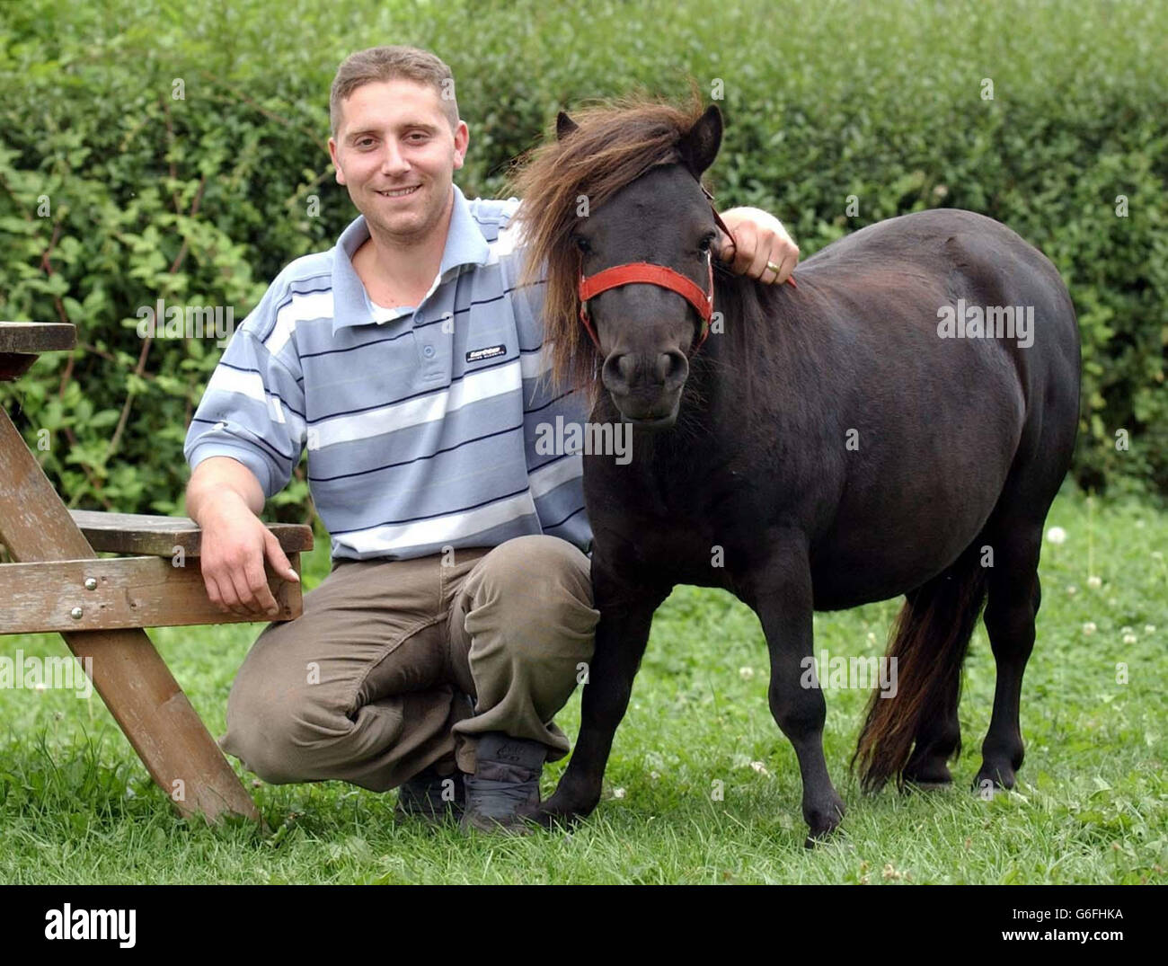 Landlord Jason Reeves with Sparky .The Shetland Pony is fussy about his drinks and turns his nose up at Cider, Alcopops and Lager but is very partial to a pint of Arkells 3B. He earns his beer money by giving cart rides to the local children. Stock Photo
