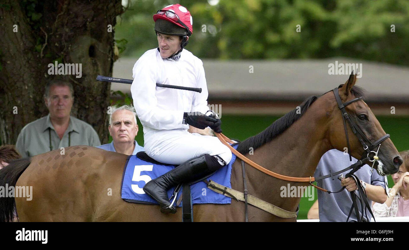 Flying Spirit with jockey Tony McCoy, finishes first in the Saltwell Signs Novices' Hurdle Race at Fontwell Park Racescourse in Sussex, Friday August 22, 2003. McCoy has returned after a two month spell away from racing due to a broken arm. Stock Photo