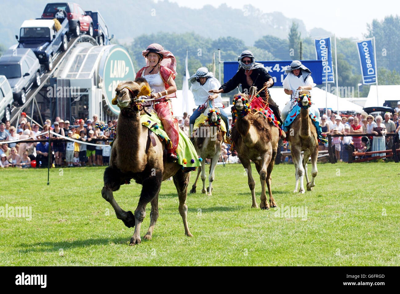 Humphrey ridden by Lady Jane leads the field at the 173rd Annual Bakewell Show. The racing camels top the bill on the first day of the show which will attract an estimated 50,000 people over the following 2 days. Stock Photo