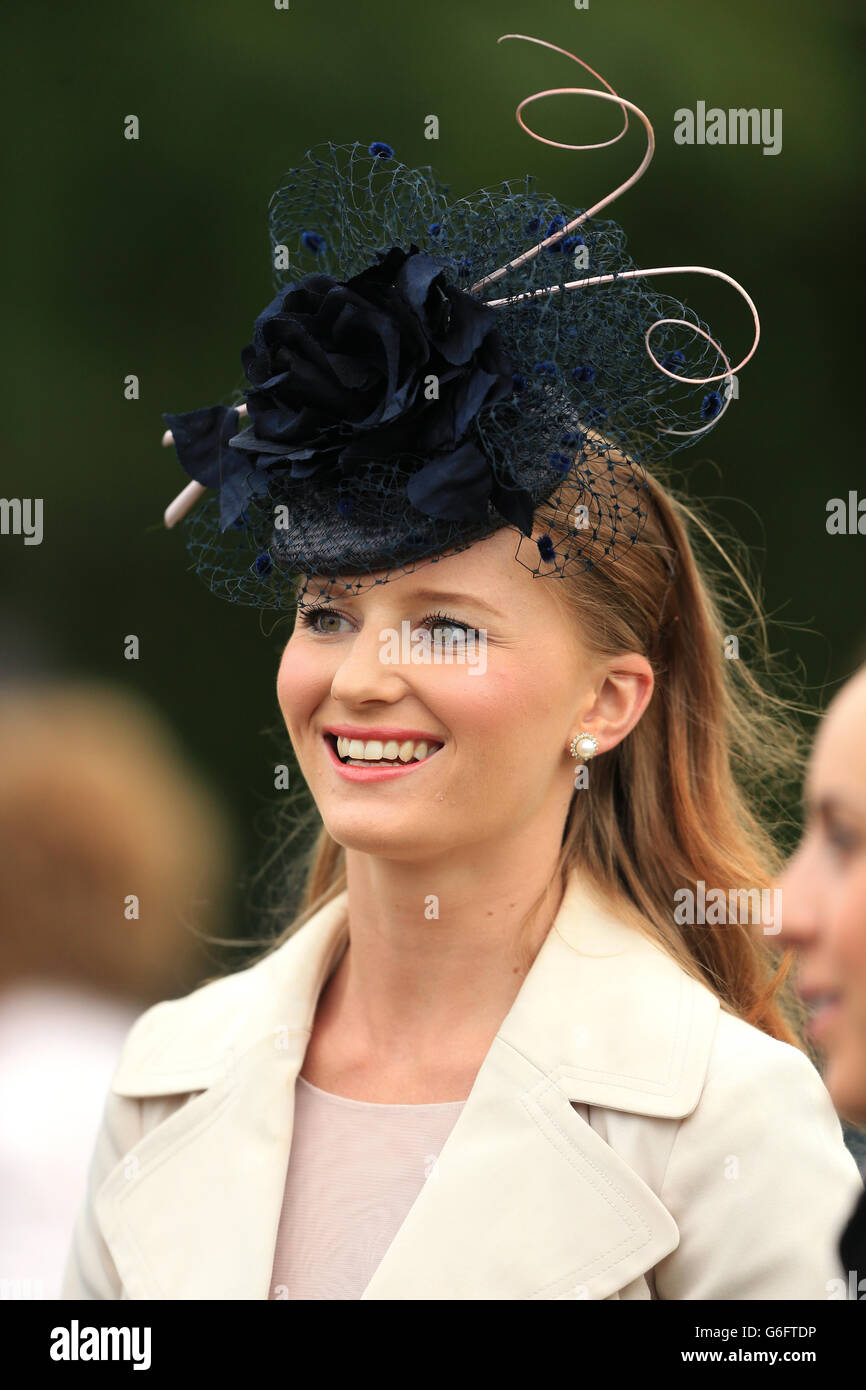 Horse Racing - 2013 Glorious Goodwood Festival - QIPCO Sussex Stakes Day - Goodwood Racecourse Stock Photo