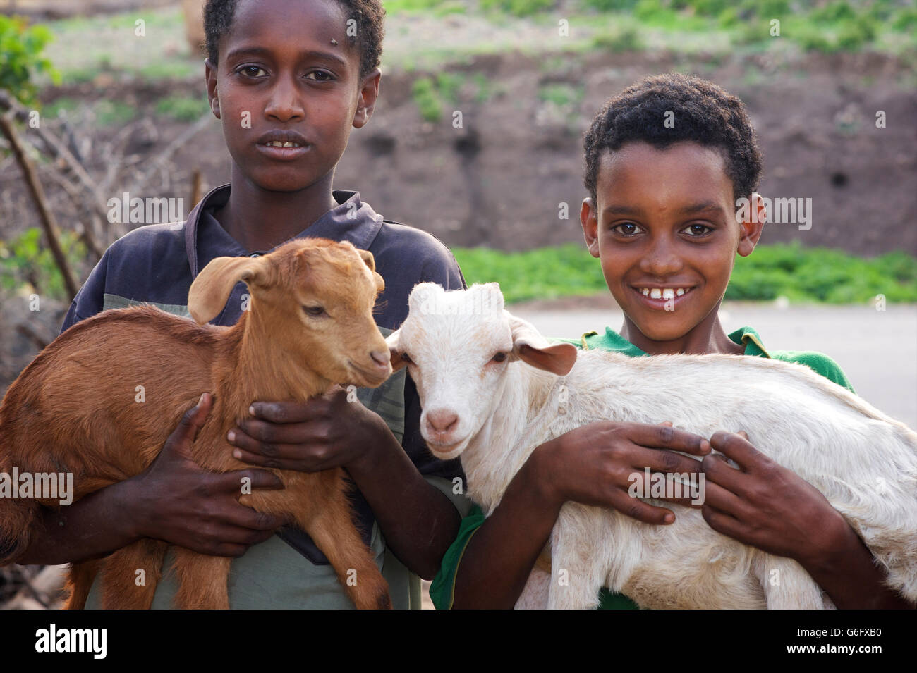Ethiopian boys with goats. Rural community  near Bati, Oromia Zone, Amhara Region, Ethiopia Stock Photo