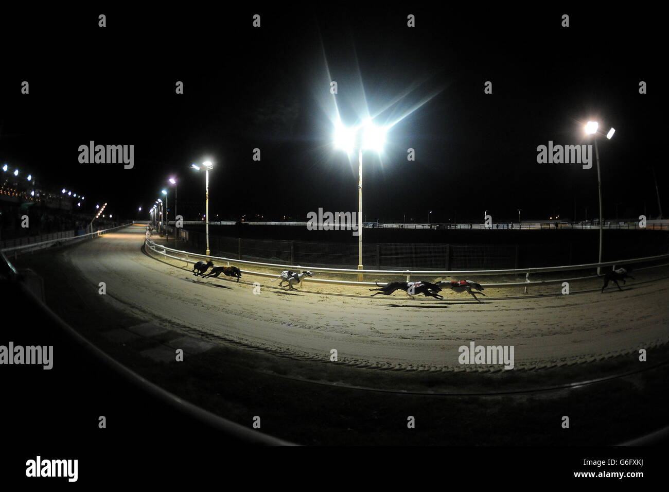 Greyhounds Newcastle Greyhound Stadium. A view of the track as