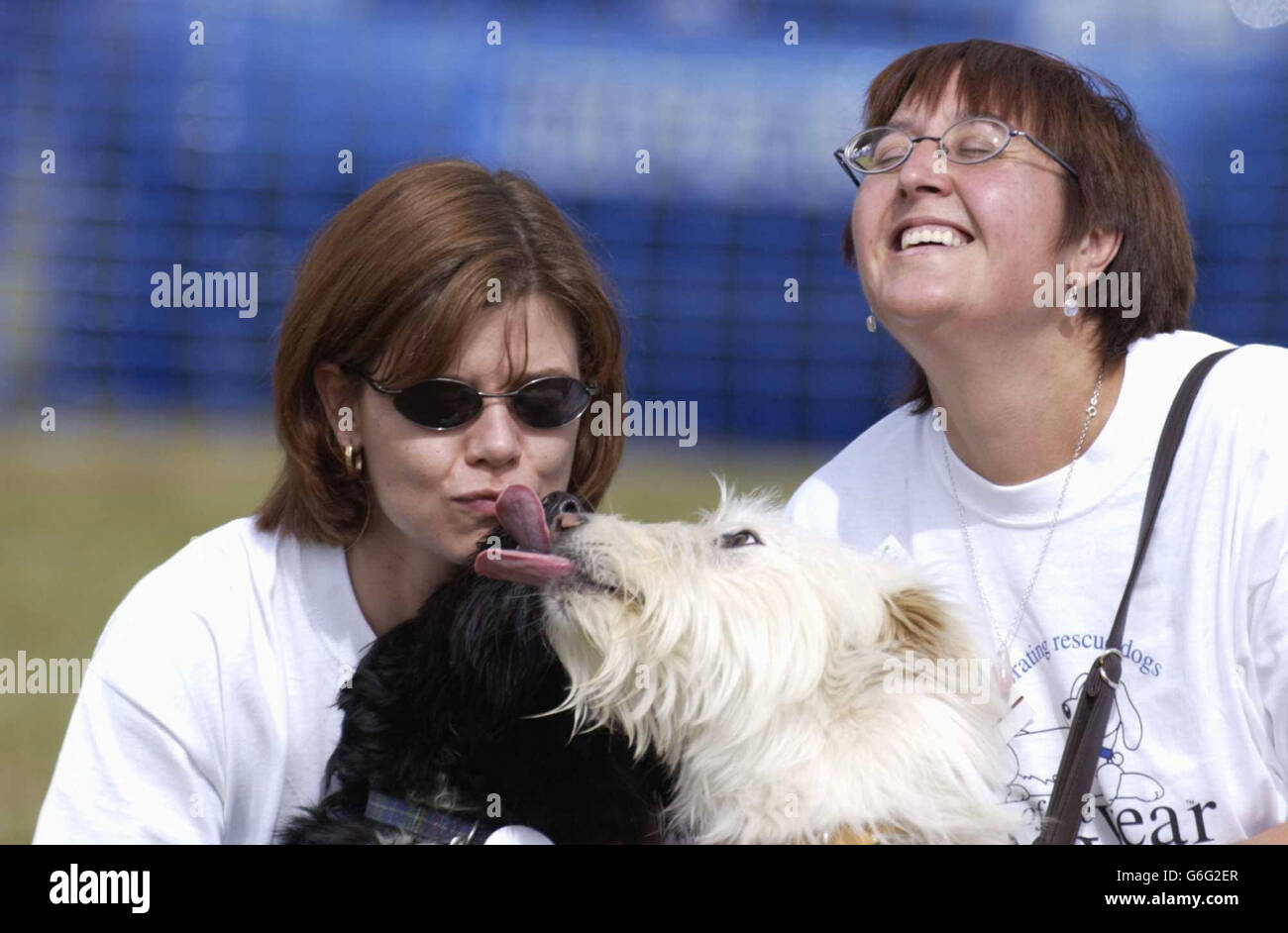 Leslie Hilton (left) with Bear and Rita Owen with Freddie, a cross bearded collie wippet, two of the ten finalists in the RSPCA Dog of the Year competition, at Millbrook Animal Centre, Chobham, Surrey. The event was won by Alfie, a two-and-a-half-year-old, tan, whippet-saluki cross from Abbeyhills in Oldham, Greater Manchester, who beat 70 other dogs to the title. The dogs were judged on personality, relationship with their owner and appearance. Stock Photo