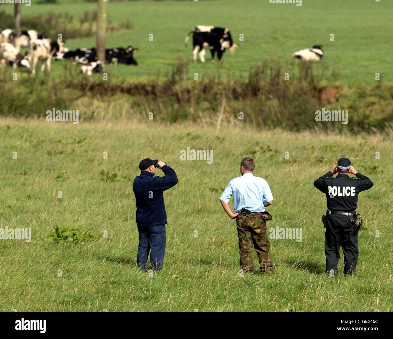 Police search fields in North Antrim, Belfast, following sightings of a big cat. The search follows more than 20 sightings of a wild animal, thought to be a puma, in the area since August. A helicopter and police air support unit is also involved in a dawn till dusk operation to try to catch or kill the animal. Stock Photo