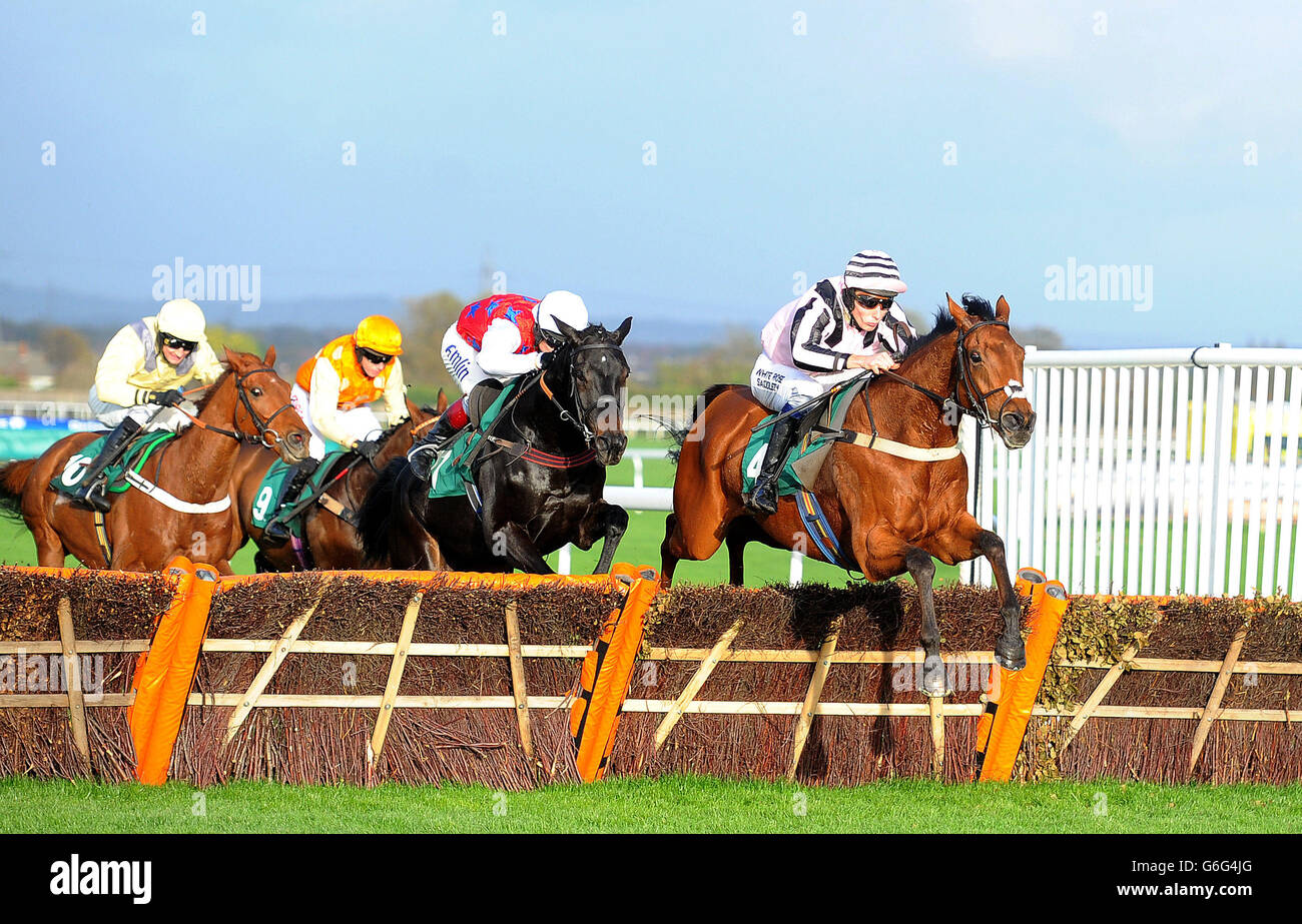 Crowning Jewel ridden by James Reveley wins The Maxilead Metals Handicap Hurdle Race from Uncle Jimmy, during the Matalan Family Funday at Aintree Racecourse, Aintree. Stock Photo
