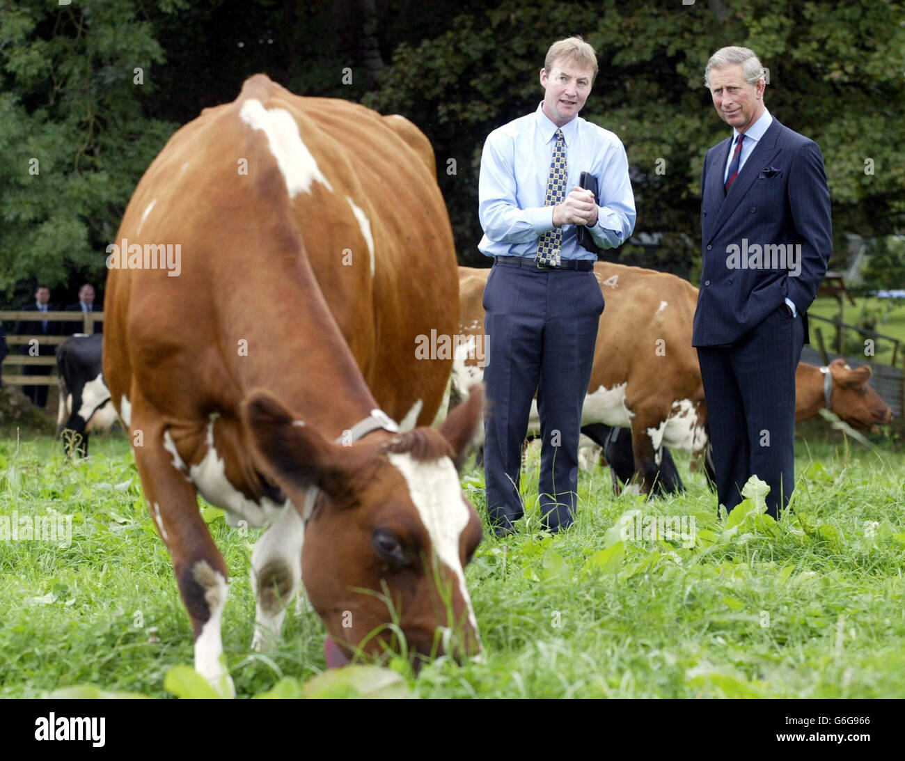 Prince of Wales Culmore House organic farm Stock Photo Alamy