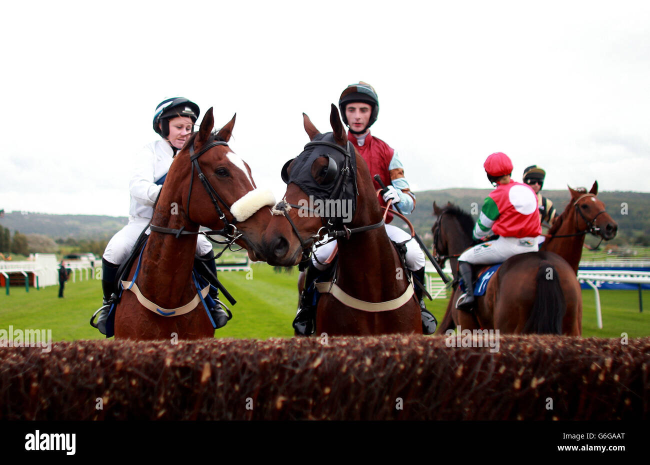 Dammam (left) and The Big Freeze (right) take a look at a fence before the Fine &amp; Country North Cotswolds Amateur Riders&acute; Handicap Chase during day one of The Showcase Meeting at Cheltenham Racecourse, Cheltenham. Stock Photo
