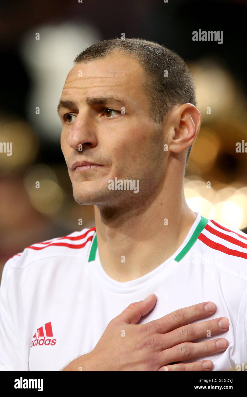 Football holland the headshot head shot portrait euro2016hungary hires