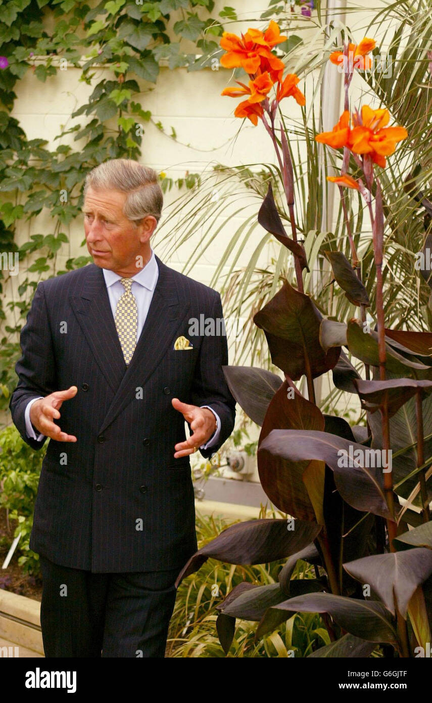 The Prince of Wales officially opens Britain's first complete restoration of a Victorian glasshouse. Charles looked relaxed as he toured the pavilions at Sheffield's Botanical Gardens, which have been restored as part of a 6.6 million project. Stock Photo