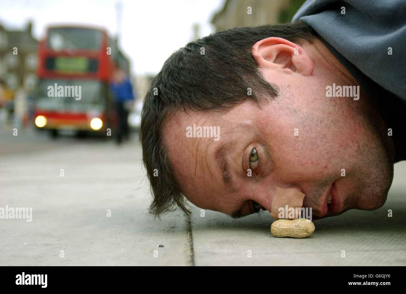 Student Mark McGowan, 37, from Peckham, gets down to business as he attempts to wipe out his student debt by using his nose to push a monkey nut seven miles to Downing Street, central London. McGowan wants the Prime Minister to waive his 15,000 debts if he can make it from Goldsmiths College , south-east London to 10 Downing Street. Mr McGowan knows he can make it with all manner of hazards he faces, most dangerous of all crossing roads. Stock Photo