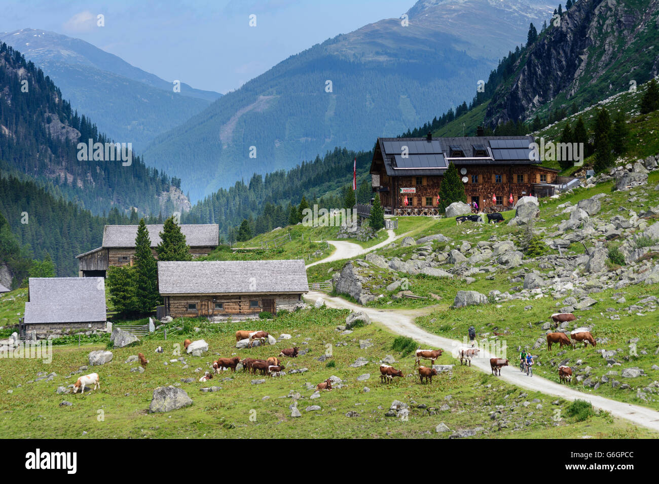 valley Obersulzbachtal, view to mountain hut Postalm, Neukirchen am
