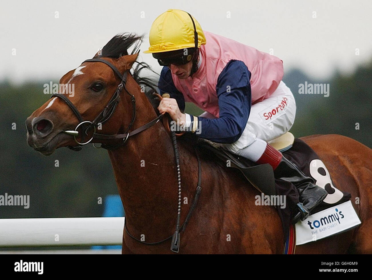 High Accolade, ridden by Martin Dwyer wins The Tommy's (The Baby Charity) Cumberland Lodge Stakes at Ascot. Stock Photo