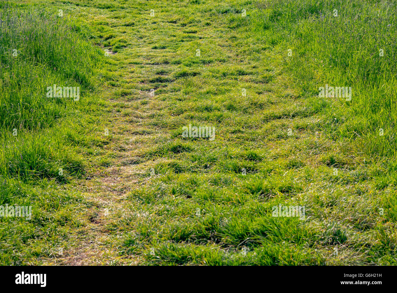 Car tire in grass hires stock photography and images Alamy