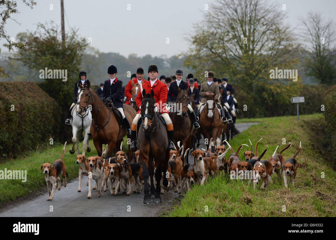 Huntsmen and hounds of the York and Ainsty South Hunt in the lanes around Appleton Roebuck, North Yorkshire, on the first weekend of the new hunting season. Stock Photo