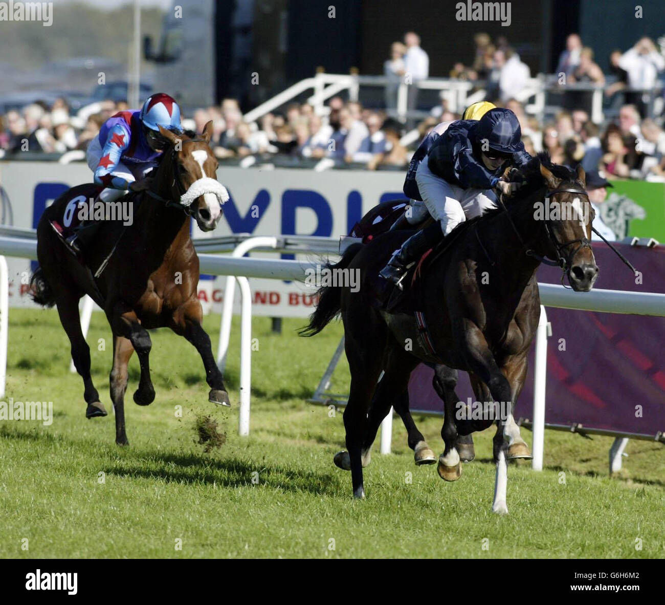 The Seabiscuit St Leger Stakes Stock Photo - Alamy