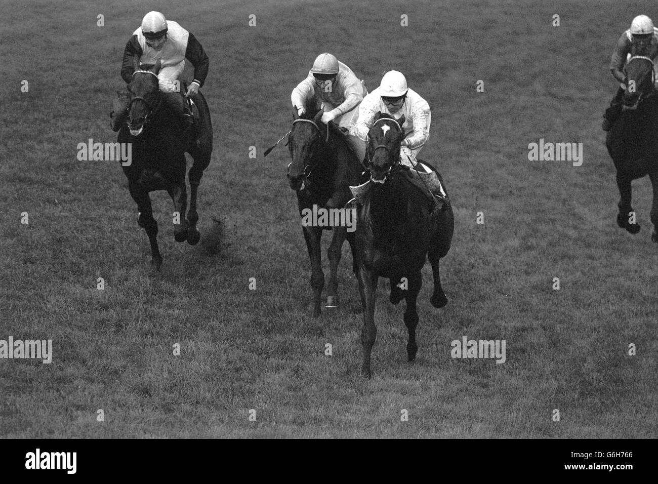 Horse Racing - Coronation Cup Winner - Triptych - Epsom Stock Photo - Alamy