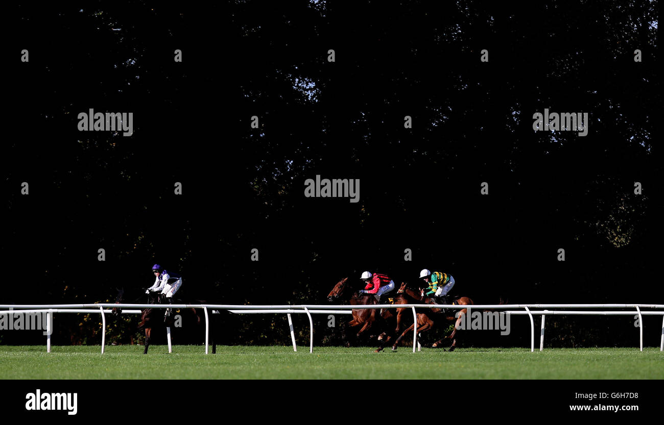 Eventual winner Christopher Wren ridden by A.P.McCoy runs in third place behind Another Flutter and Midnight Tuesday in the Richard Davis Memorial Handicap Chase at Worcester Racecourse, Worcester. Stock Photo